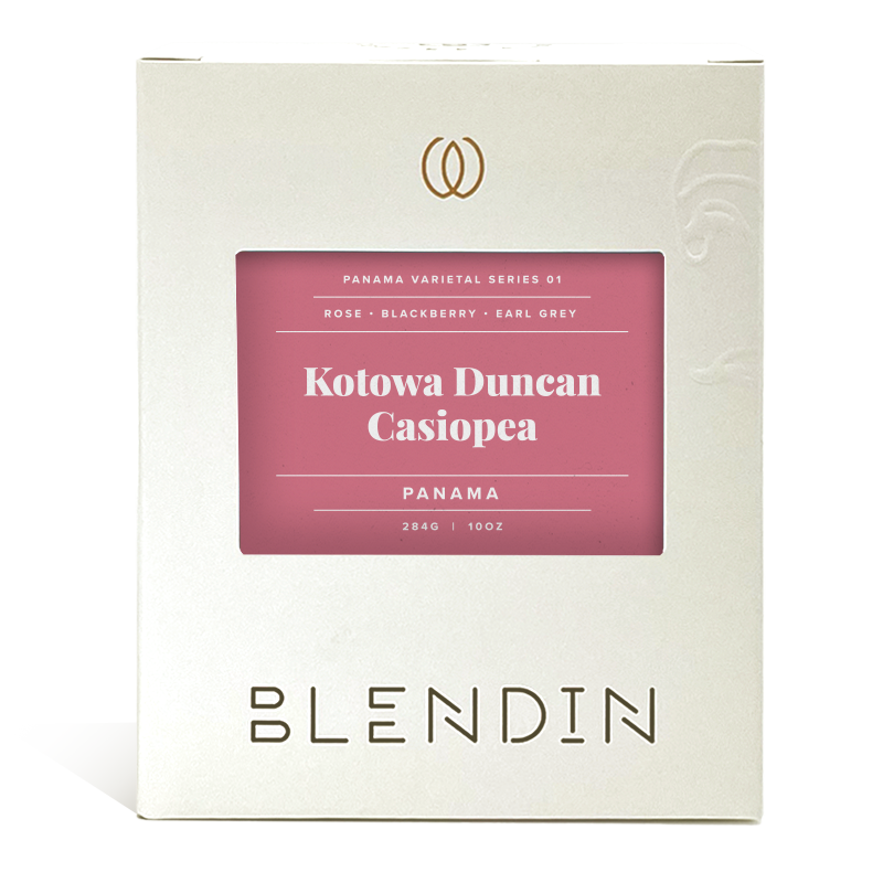 Kotowa Duncan Casiopea