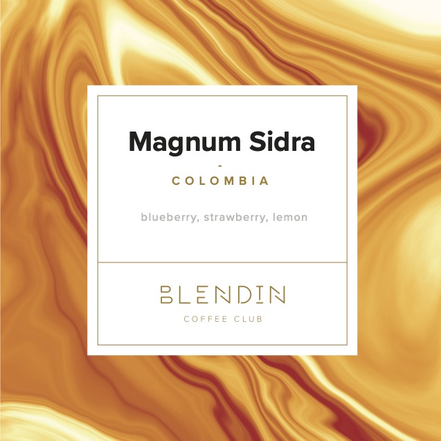 Magnum Sidra