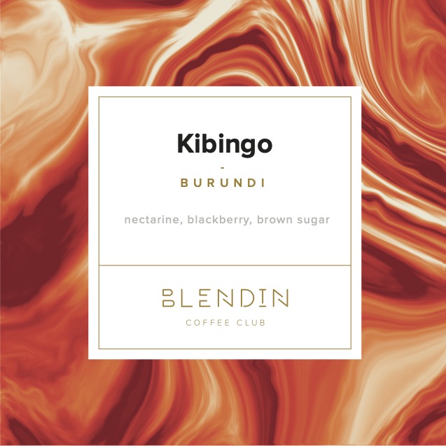 Kibingo