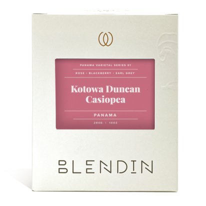 Kotowa Duncan Casiopea