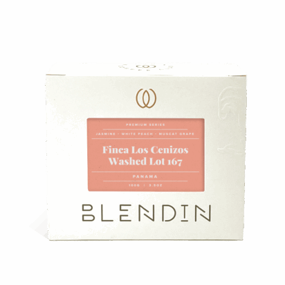 Finca Los Cenizos Washed Lot 167