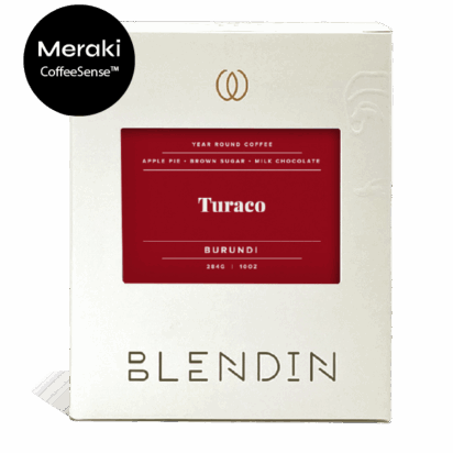 Meraki x BlendIn - Turaco