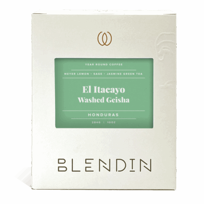 El Itacayo Washed Geisha