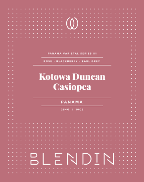 Kotowa Casiopea