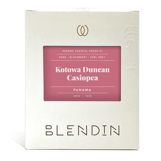 Kotowa Duncan Casiopea
