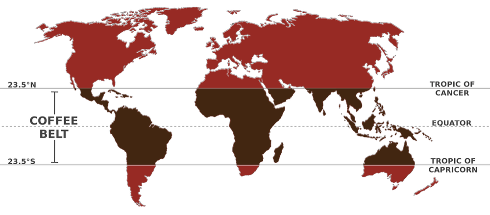 World map showing the coffee belt between the Tropics of Cancer and Capricorn