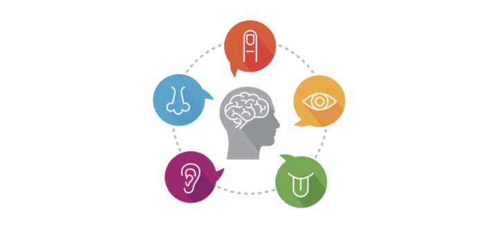 Five senses diagram showing the role of each sense in coffee evaluation