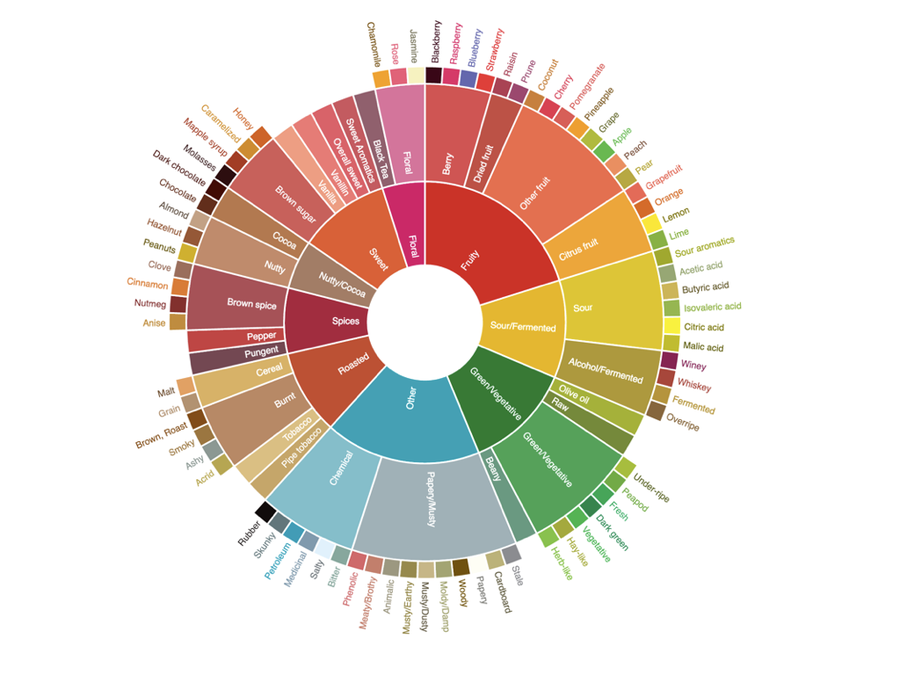 SCA Coffee Taster's Flavor Wheel