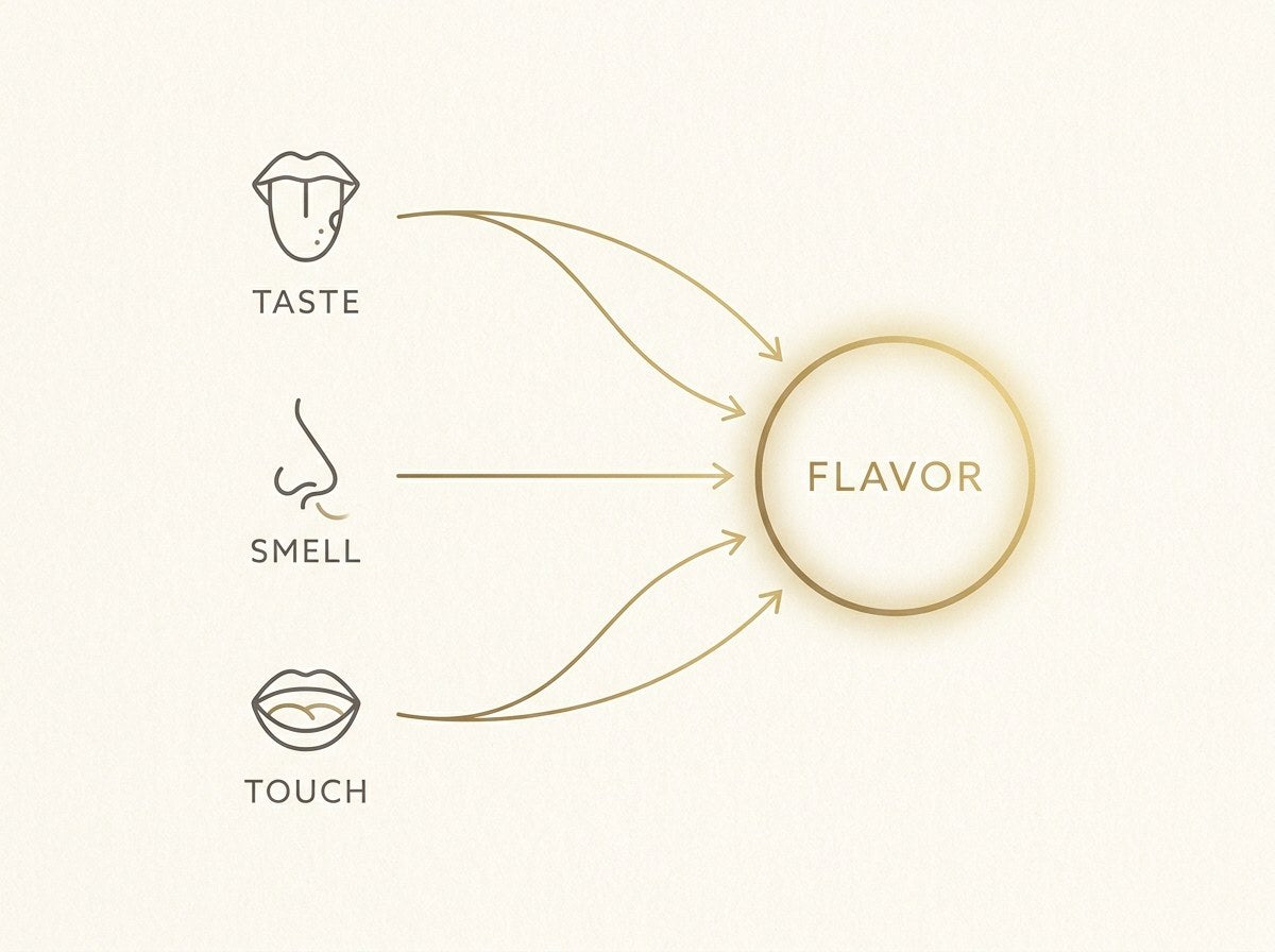 Diagram of taste, smell, and touch combining into the single impression we call flavor