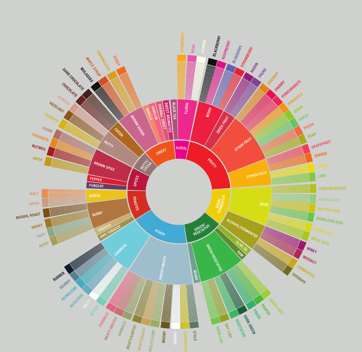 SCA Coffee Taster's Flavor Wheel with nine flavor categories radiating from the center